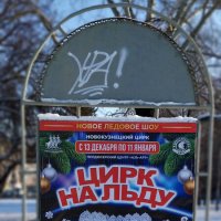 Цирк на льду!!! :: Радмир Арсеньев