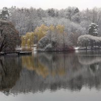 Царицыно утром 15 ноября :: Михаил Бибичков Царицыно утром 15 ноября :: Михаил Бибичков