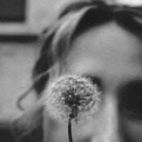 *** :: Александр Змеев