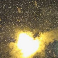 Портал :: Ален Янн