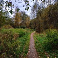 Так наступил октябрь 2023 :: Андрей Лукьянов