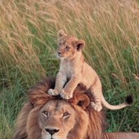 Мой батя !...:) :: Валерий Кокорев