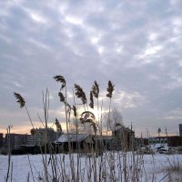 Ноябрь уж на дворе... :: Владимир 