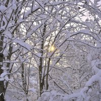 - :: Владимир Мигонькин