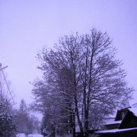 Моя улица в ноябре :: Людмила Смородинская Моя улица в ноябре :: Людмила Смородинская