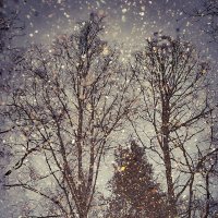 Отражение в луже :: Сергей 