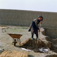 Обустройство территории :: Сергей Золотавин Обустройство территории :: Сергей Золотавин