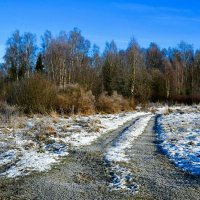 Осень в середине ноября. :: Милешкин Владимир Алексеевич Осень в середине ноября. :: Милешкин Владимир Алексеевич