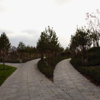 Прямо пойдешь??? :: Юрий Полторыхин.