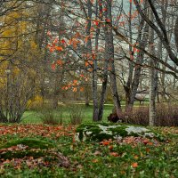 Tallinn, Fotograaf Arkadi Baranov, FEP, Estonia :: Аркадий Баранов Arkadi Baranov Tallinn, Fotograaf Arkadi Baranov, FEP, Estonia :: Аркадий Баранов Arkadi Baranov