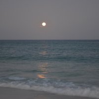 Полнолуние над Карибским морем. :: Наталья Вязигина