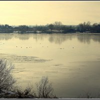 *** :: Aleksandr Gal *** :: Aleksandr Gal