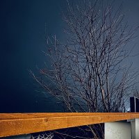 Паутина Шарлоты :: Фадей 