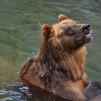 ... :: Анастасия Смирнова