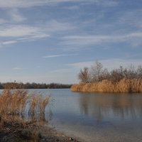 **** :: Виктор 