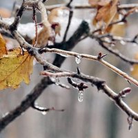 Ледышки :: ZNatasha -