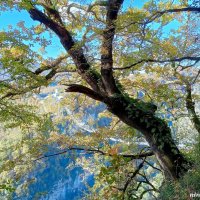 Адлер. Скайпарк :: Нина Бутко Адлер. Скайпарк :: Нина Бутко