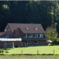 СЕЛЬСКИЙ МОТИВ... :: Elvira E. 