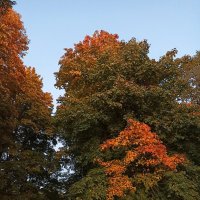 Велосипедная прогулка по осени. :: Лилия *