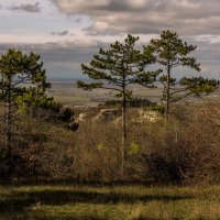 Предгорья Крыма. :: Сергей Воротников