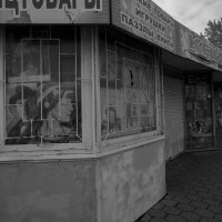 *** :: Елена Агеева