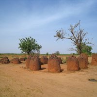 Каменные кольца Вассу. :: unix (Илья Утропов)