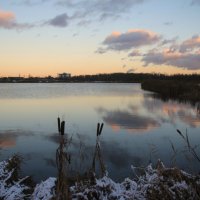 Парк Героев-пожарных. Ноябрь :: Наталья Герасимова