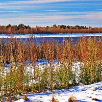 Октябрь...Пора предзимья на Юганской Оби! :: Владимир 