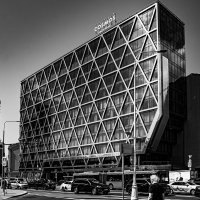 Москва монохромная. :: Владимир Мигонькин