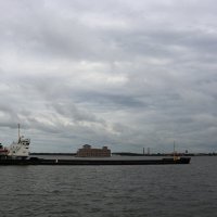 Морская прогулка :: Ольга 