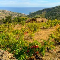 Пиренейский массив Сербер :: Георгий А Пиренейский массив Сербер :: Георгий А