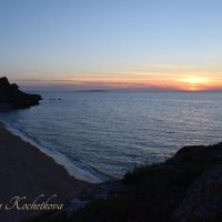 Природа Крыма :: Amazing Cosmea