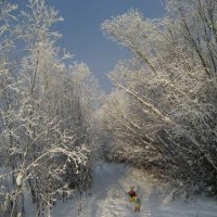 Зима :: Anna Ivanova