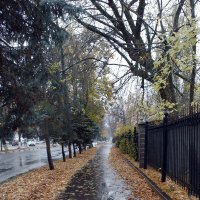 *** :: Валентина Береснева *** :: Валентина Береснева