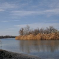 **** :: Виктор 