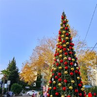 У нас уже первая елка :: Tata Wolf