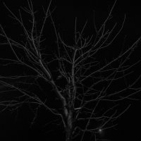 Ночь :: Ruslan Ночь :: Ruslan