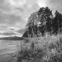 У озера. :: Николай У озера. :: Николай