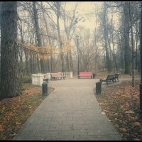 С прогулки по парку... :: Руслан 