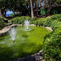 Летняя прохлада :: Светлана SvetNika17 Летняя прохлада :: Светлана SvetNika17