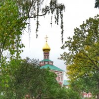 Новодевичий :: Irene Irene