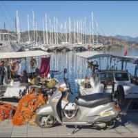 Порт :: **** vedin Порт :: **** vedin