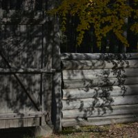 *** :: Наталья Покацкая