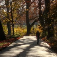 Наедине с осенью :: Юрий. Шмаков