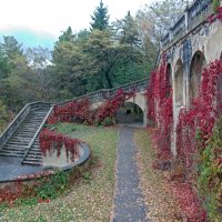 Осенние сюжеты Кисловодска :: Galina Solovova