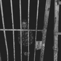 Серия "заброшка" :: Артём 