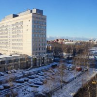 15.11.2025 / первый снег / солнечный полдень :: zavitok *