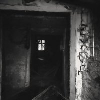 серия "Заброшка" :: Артём 