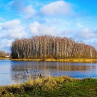 Природа Смоленщины в середине ноября. :: Милешкин Владимир Алексеевич 