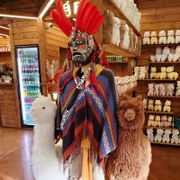 АЛЬПАКА РИВЬЕРА :: Tata Wolf